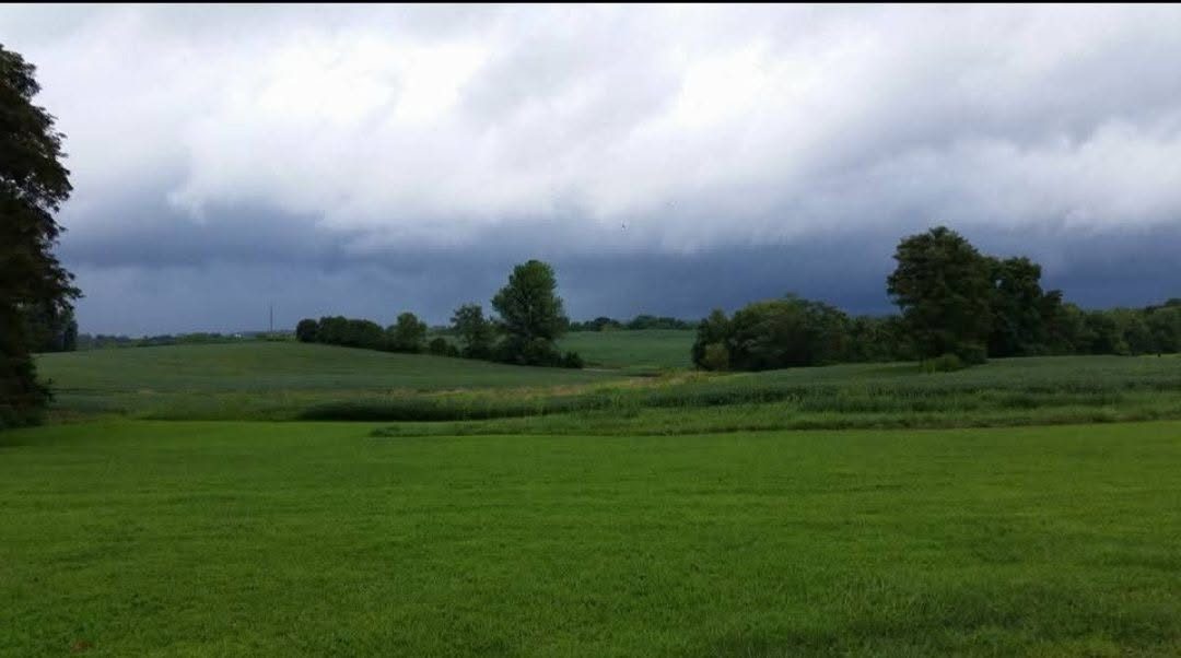 Shared by Carrie C.