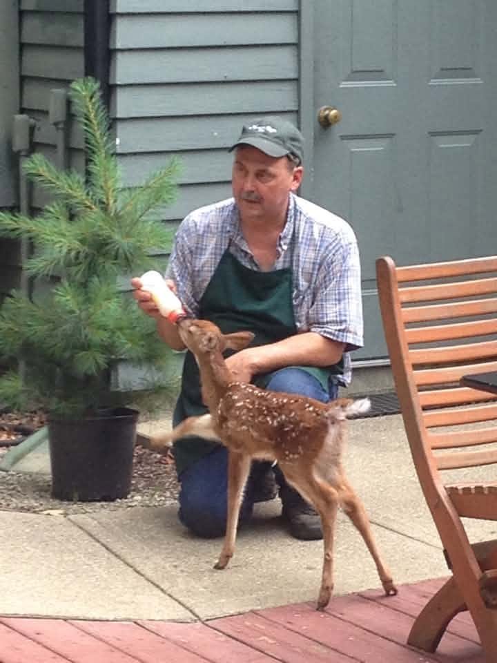 Shared by Teri L.