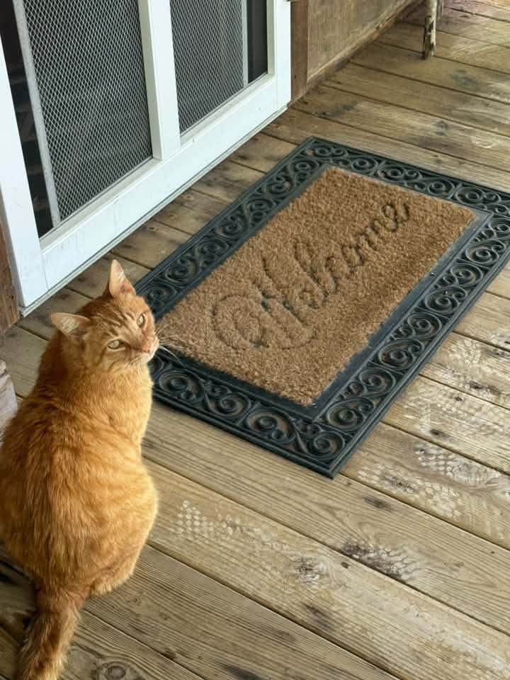 Shared by Bonita P.