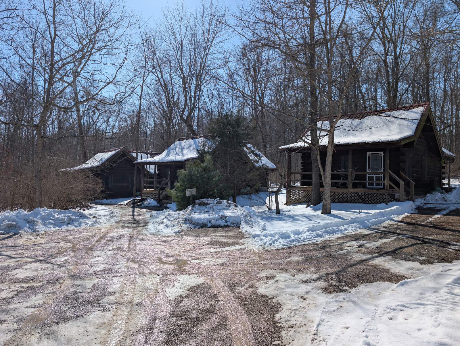 The lane running between cabins through bare winter woods.