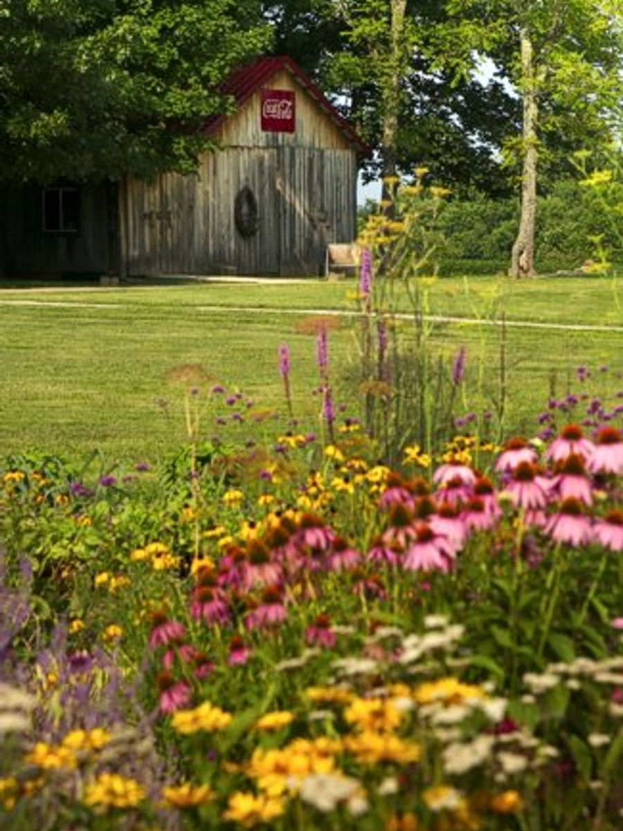 Garden and retreat grounds at Murphin Ridge Inn.