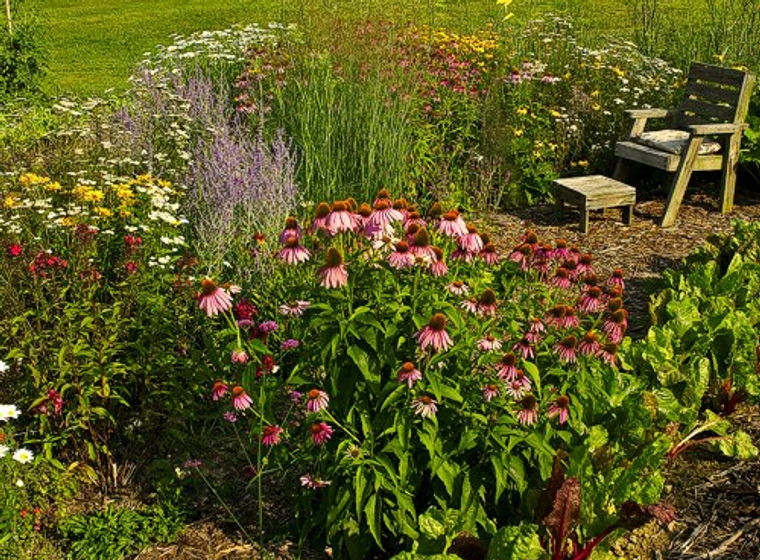Spring on Murphin Ridge