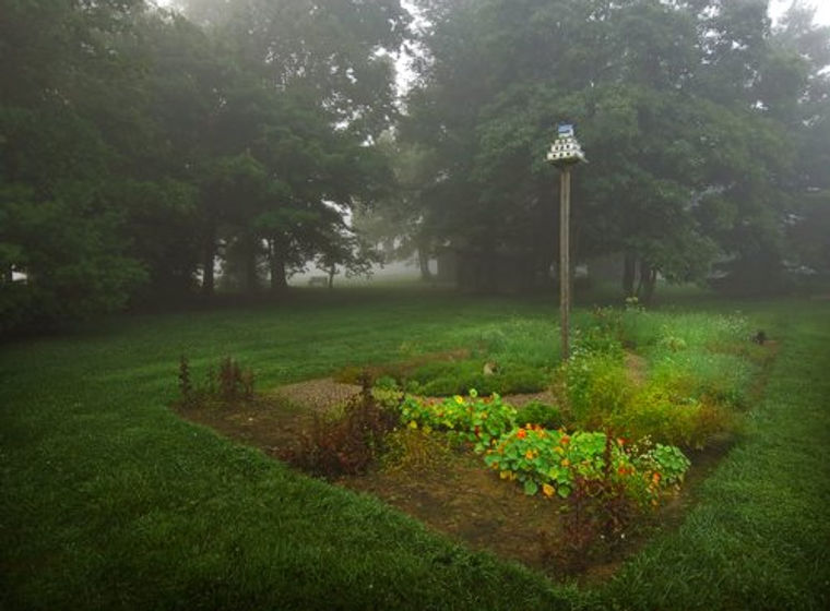 Summer at Murphin Ridge Inn